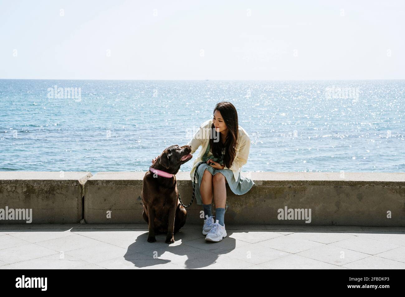Woman sitting with Labrador dog on retaining wall in front of sea Stock Photo