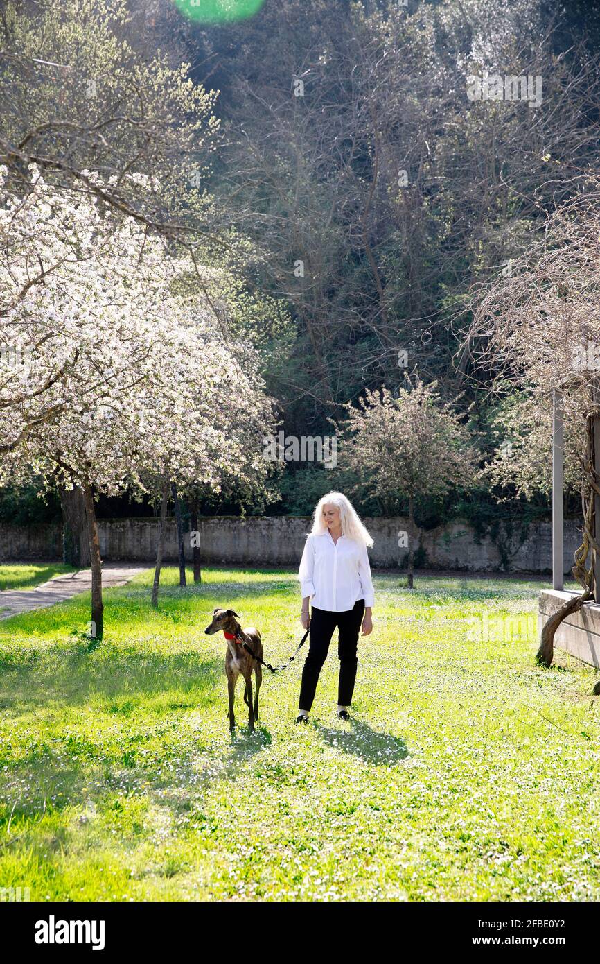 Mature woman walking with dog in park Stock Photo