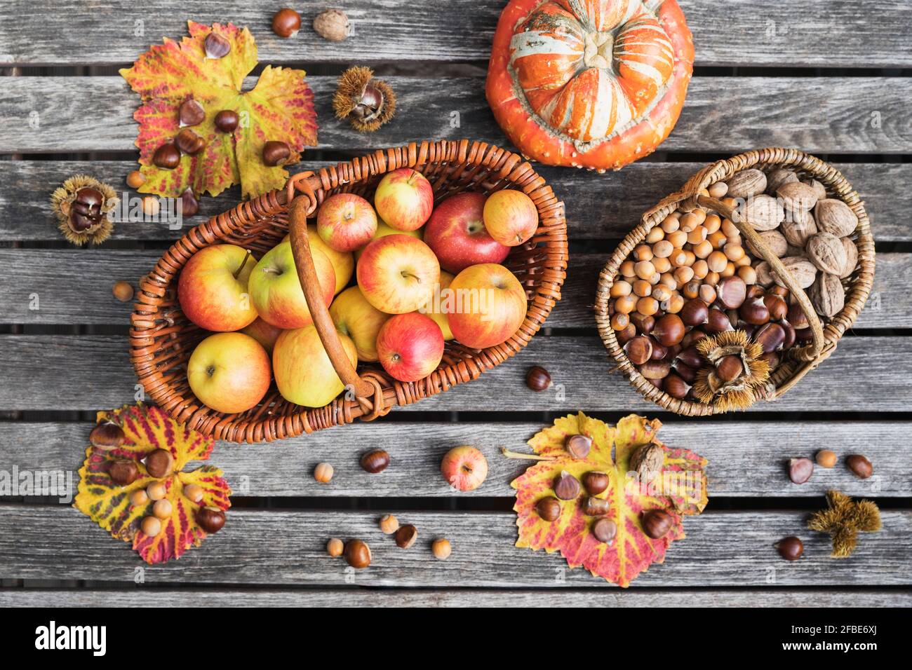 Autumn harvest on garden table: apples, nuts and chestnuts in baskets and edible pumpkin Stock Photo