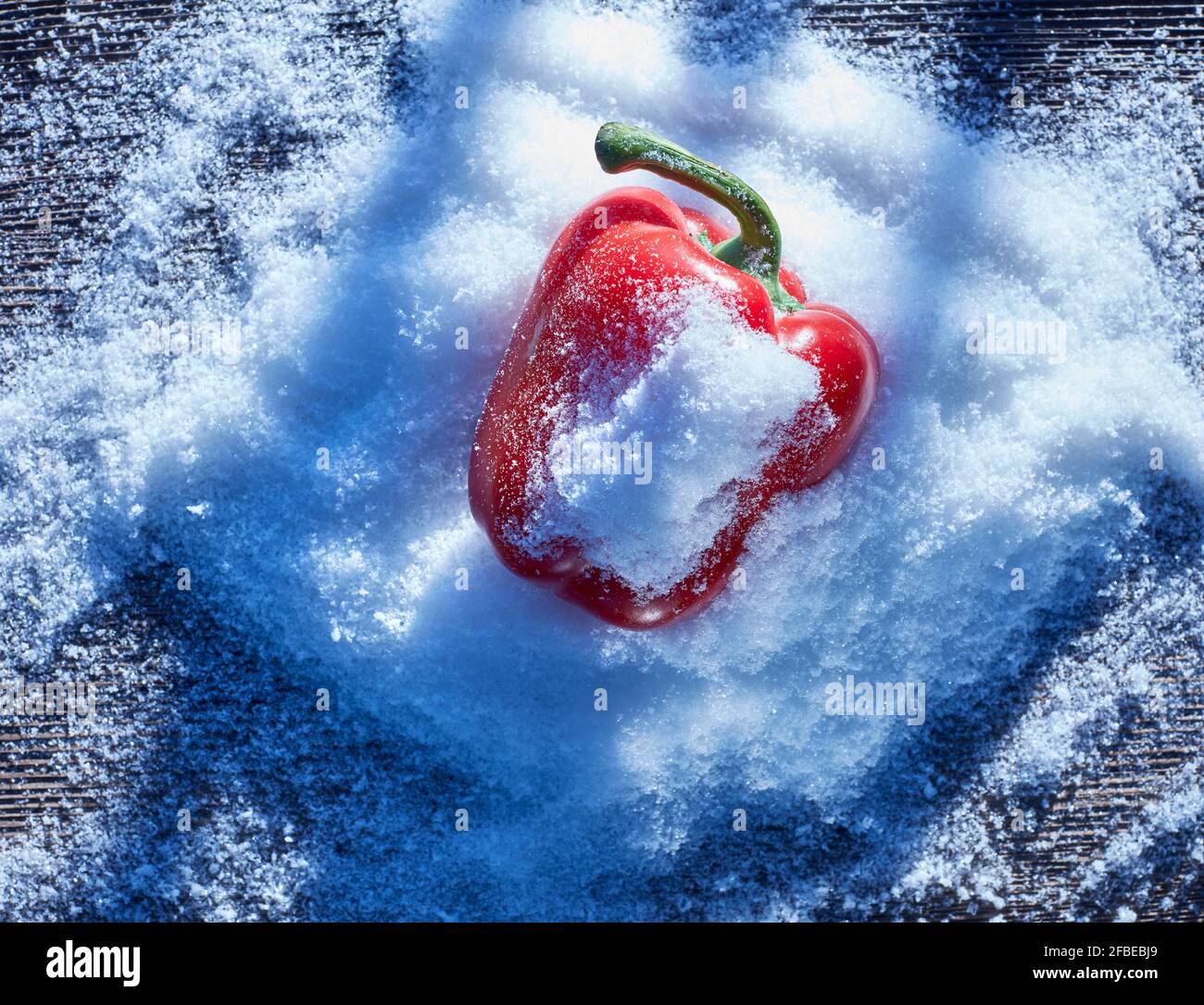 Red bell pepper lying in snow Stock Photo