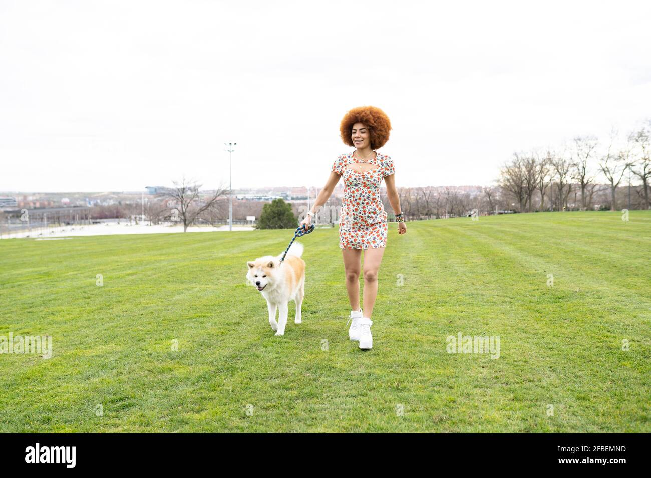 Smiling woman holding leash while walking with dog at park Stock Photo