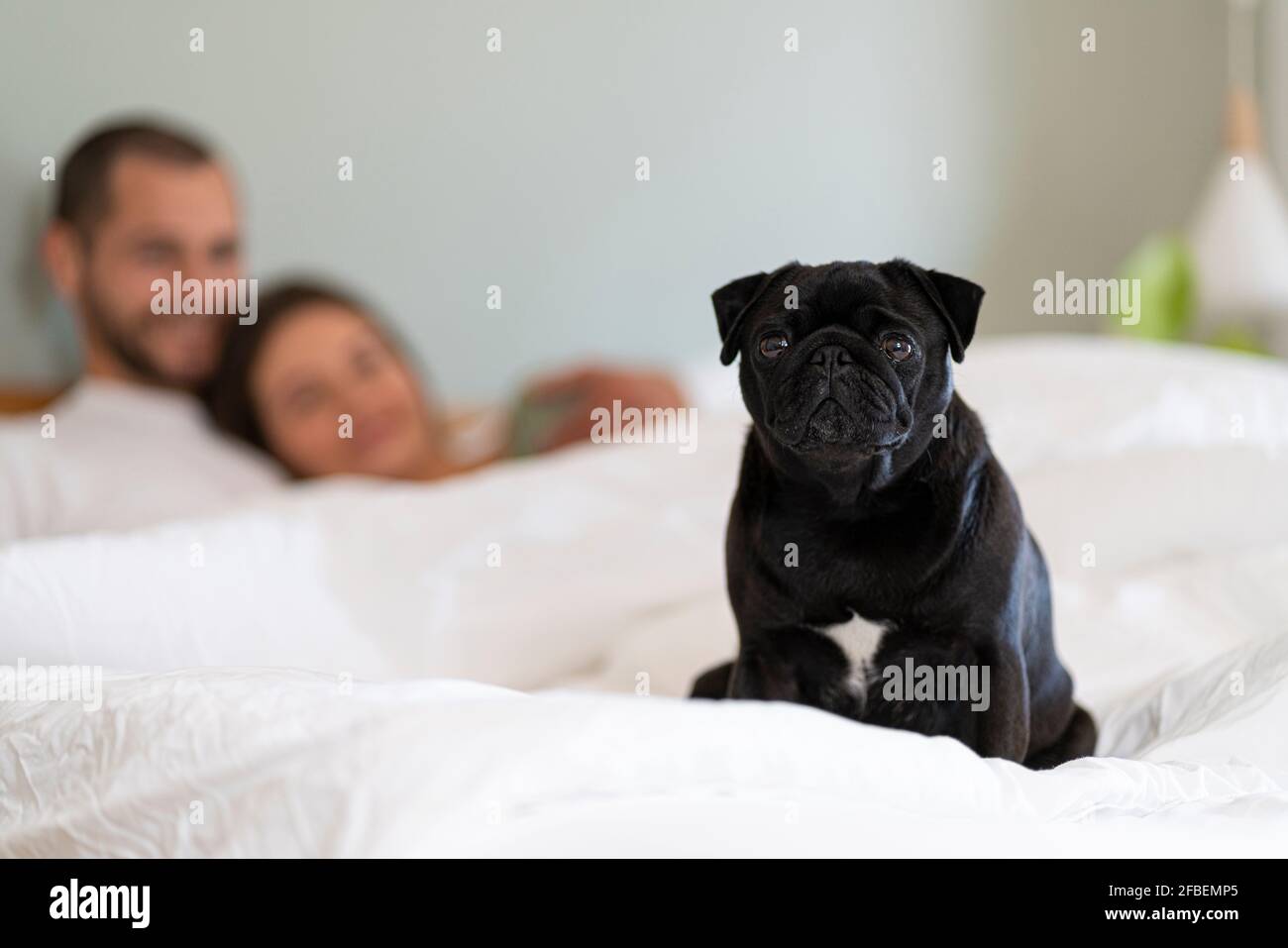 Cute couple cuddling in bed hires stock photography and images Alamy