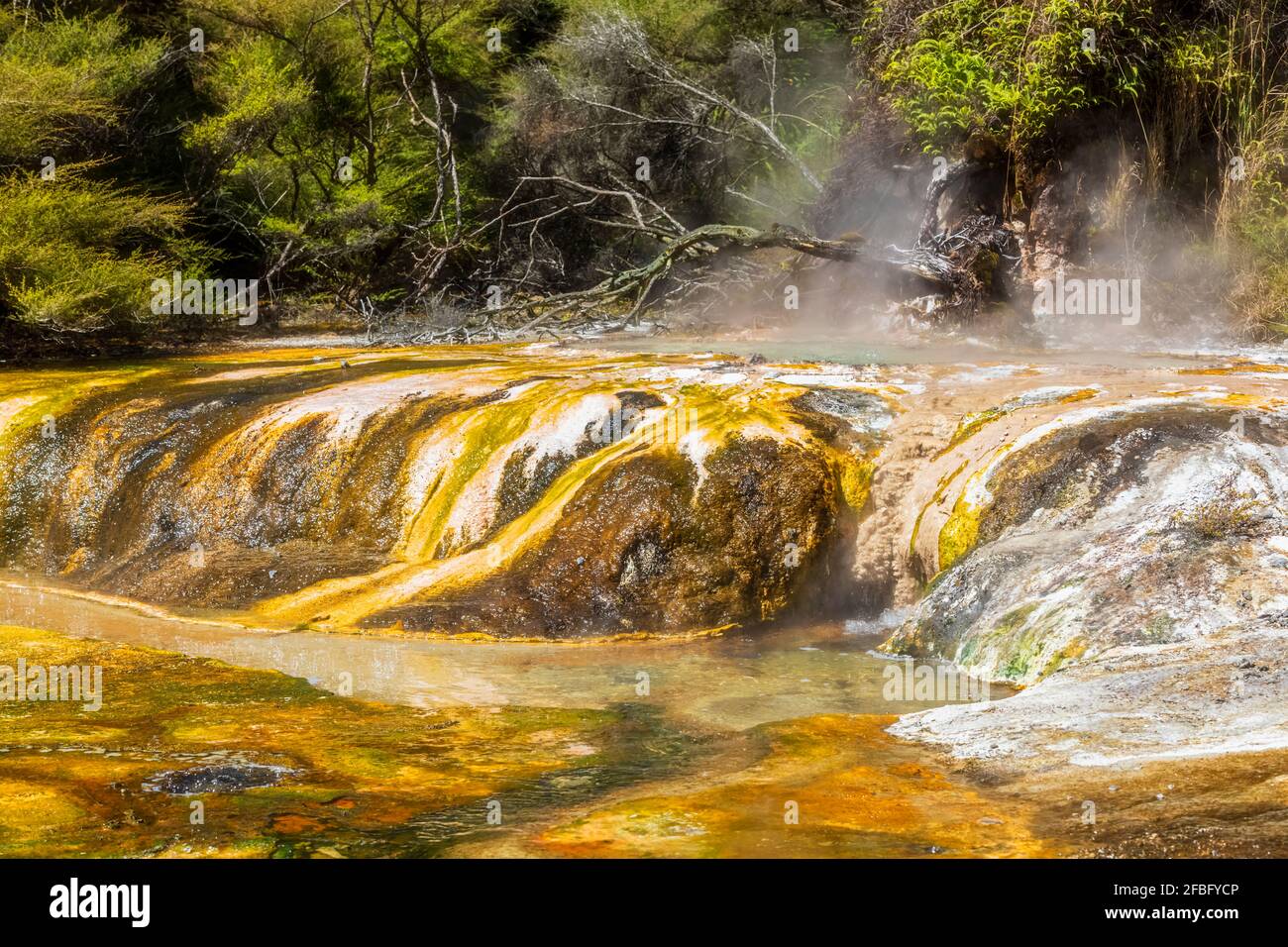Cascade on wild river hi res stock photography and images Alamy