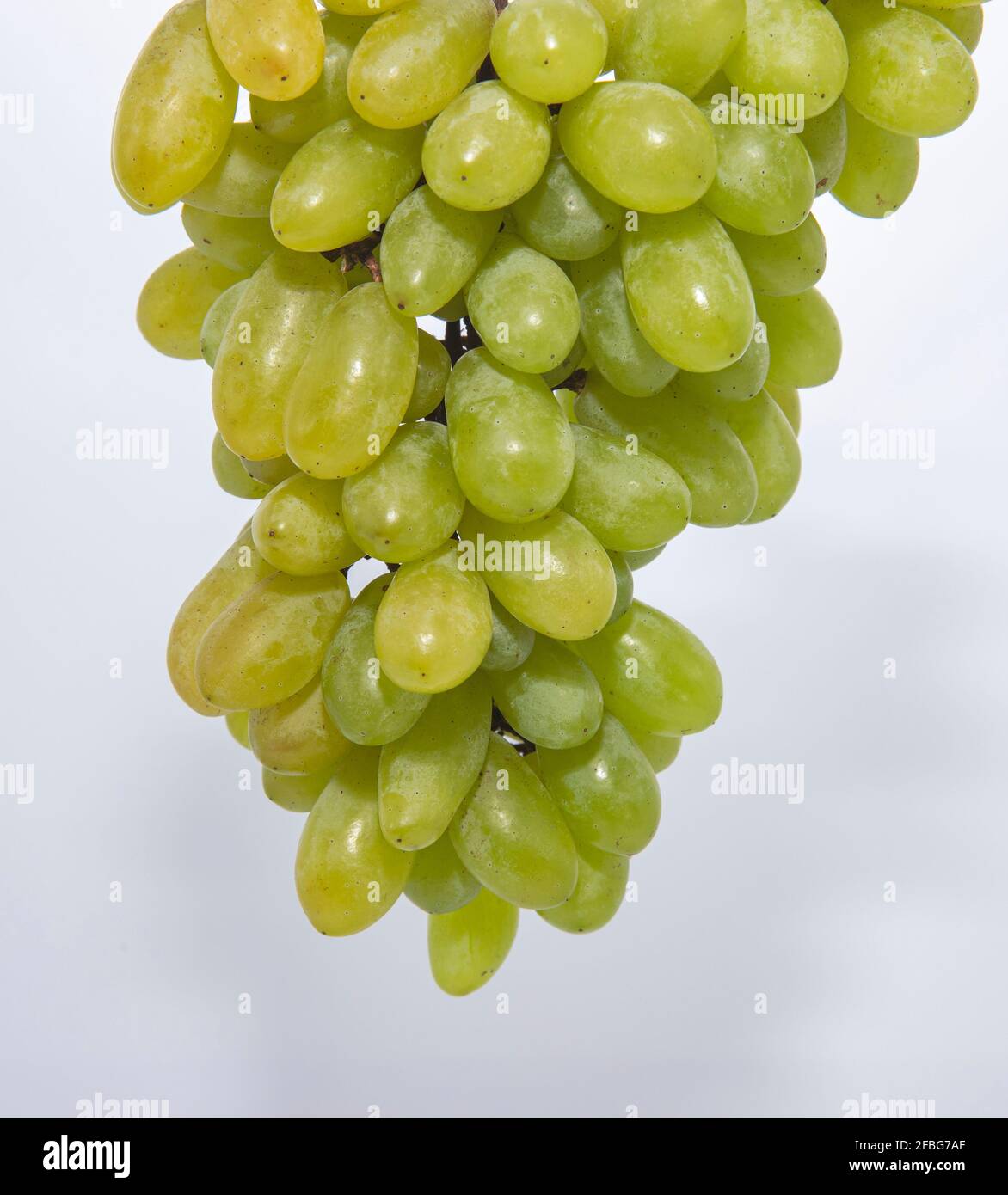 Healthy Fruits grapes Stock Photo Alamy