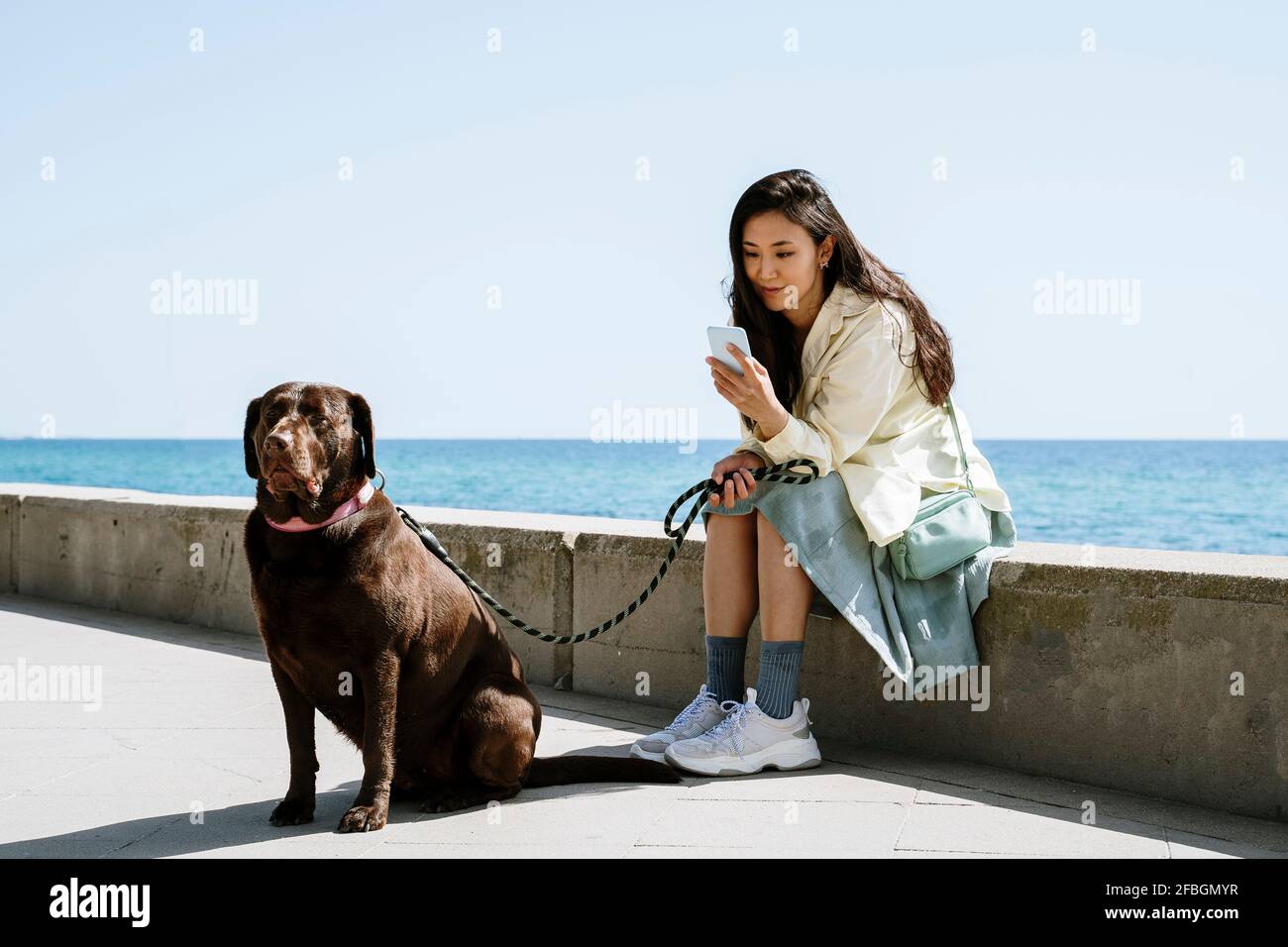 Female tourist with Chocolate Labrador sitting on retaining wall by sea Stock Photo