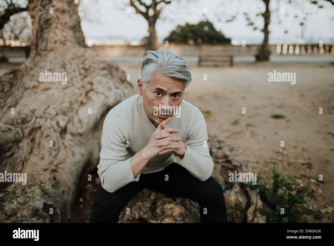 Mature man with hand on forehead lying on tree roots Stock Photo - Alamy