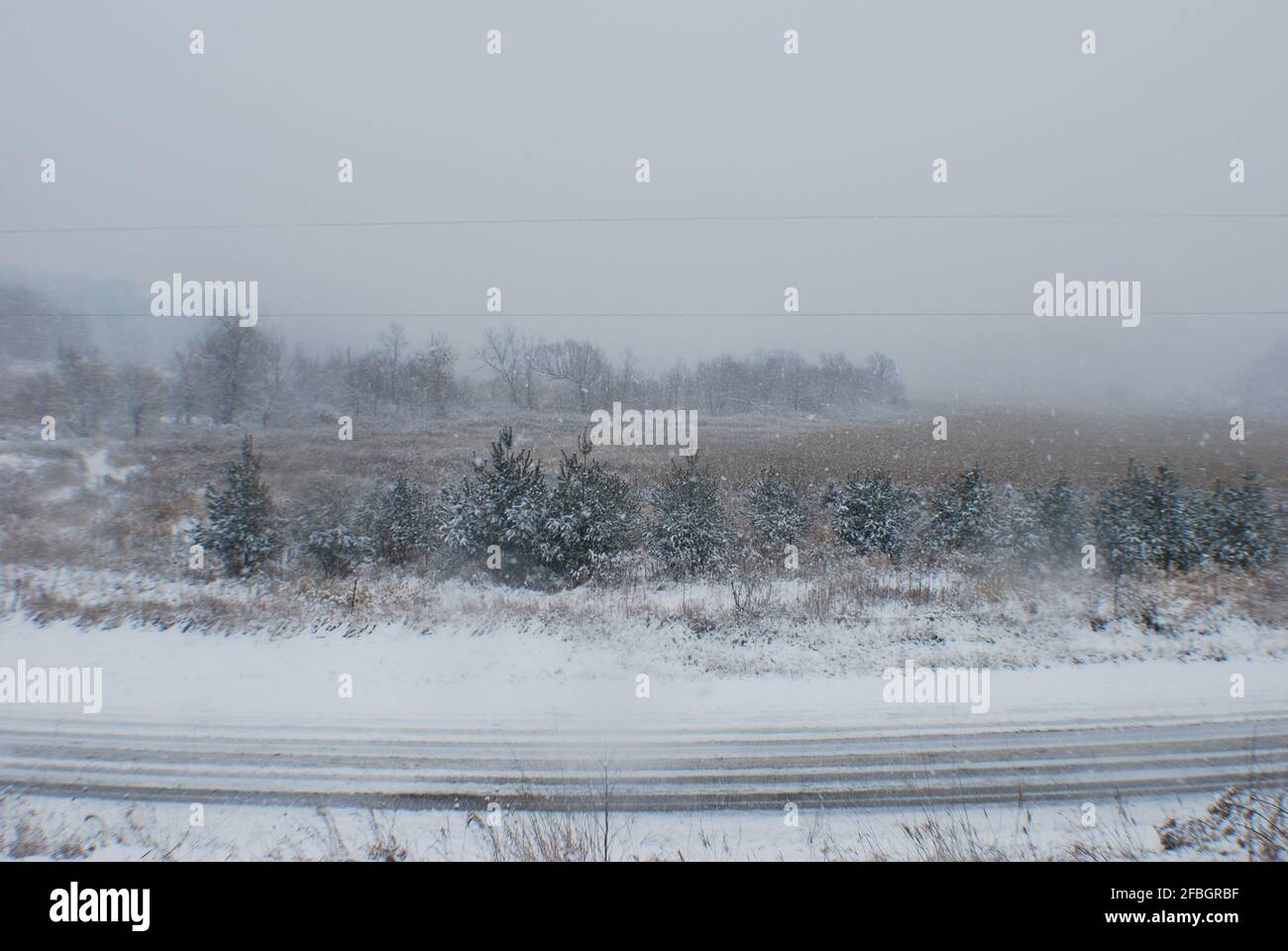 Winter Stock Photo