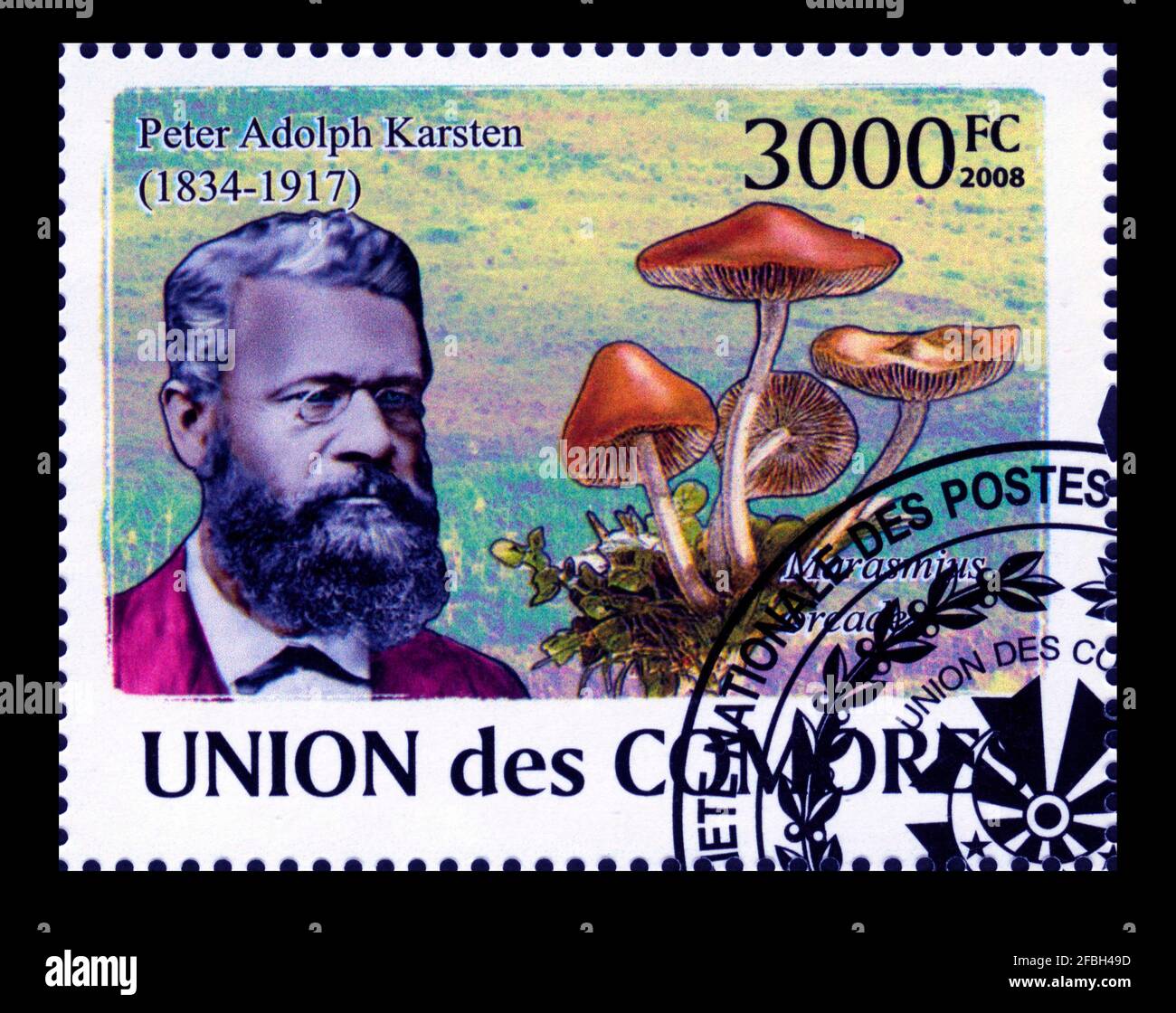 Stamp print in Comoros,Mushrooms Stock Photo