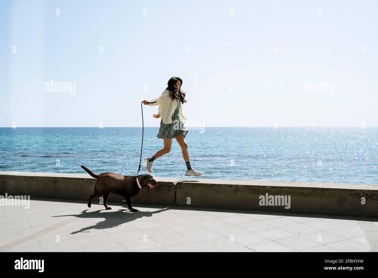 Mid adult woman walking with dog on retaining wall by sea Stock Photo