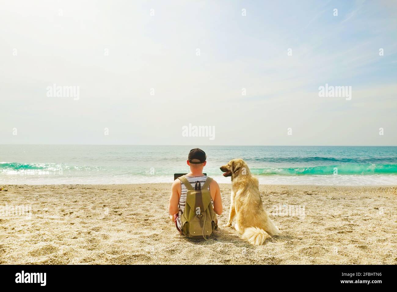 Rear view of man & his dog sitting at beach watching ocean waves, clear sunny day. Fit programmer freelancer male working on laptop computer at sea w Stock Photo