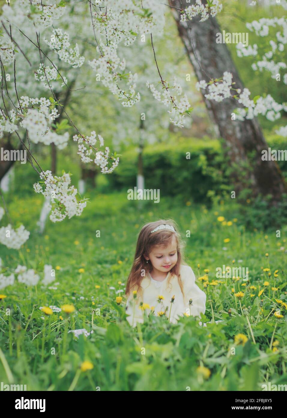 A girl in white sitting in spring cherry garden Stock Photo - Alamy