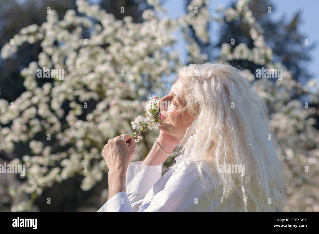 Mature woman with long white hair smelling flowers on sunny day Stock Photo