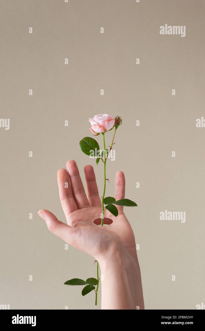 Creative layout with a human hand and colorful flowers that pass through a hole in it. Minimal concept about connection with nature, . Stock Photo