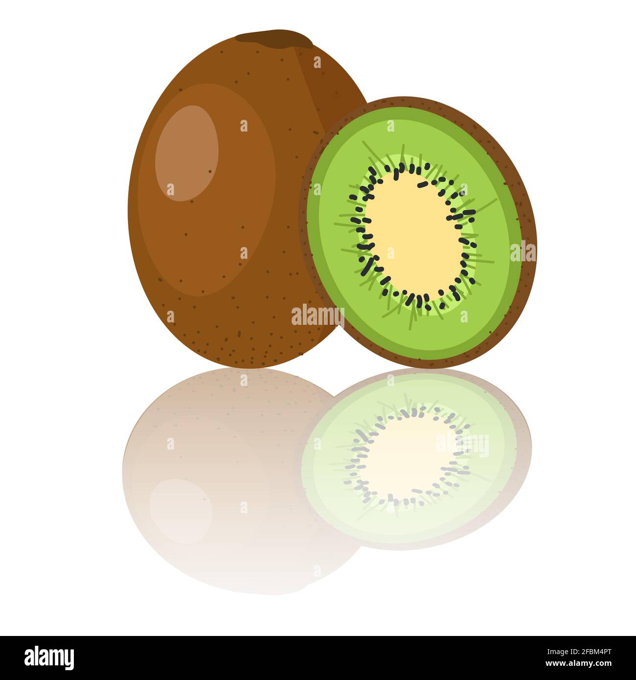 Kiwi fruit whole and sliced vector illustration exotic fruit for health diet and vitamin C source Stock Vector