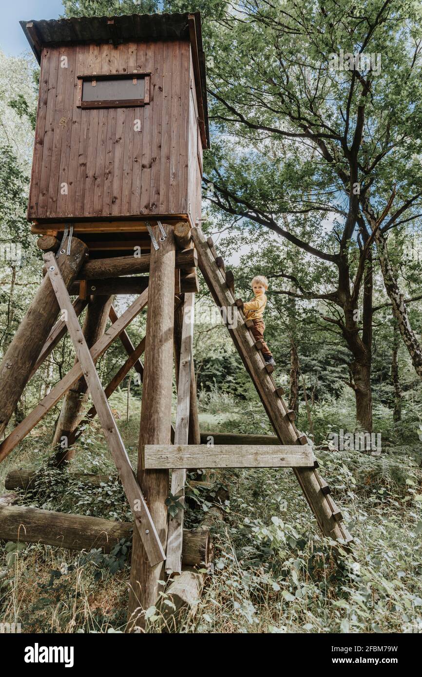 Preschooler boy climbing ladder of high seat in forest Stock Photo