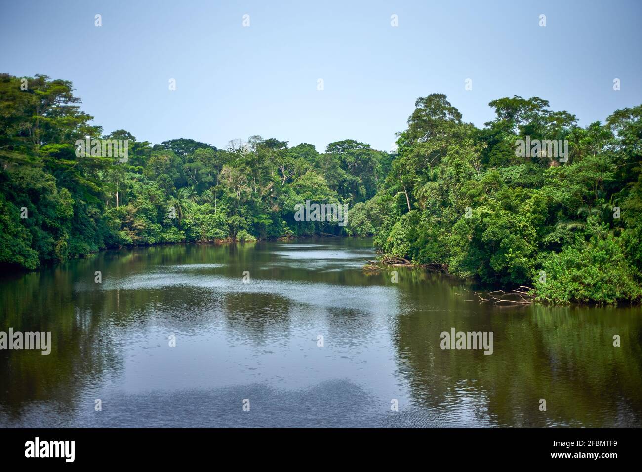 River in the tropical rainforest of central Africa Stock Photo