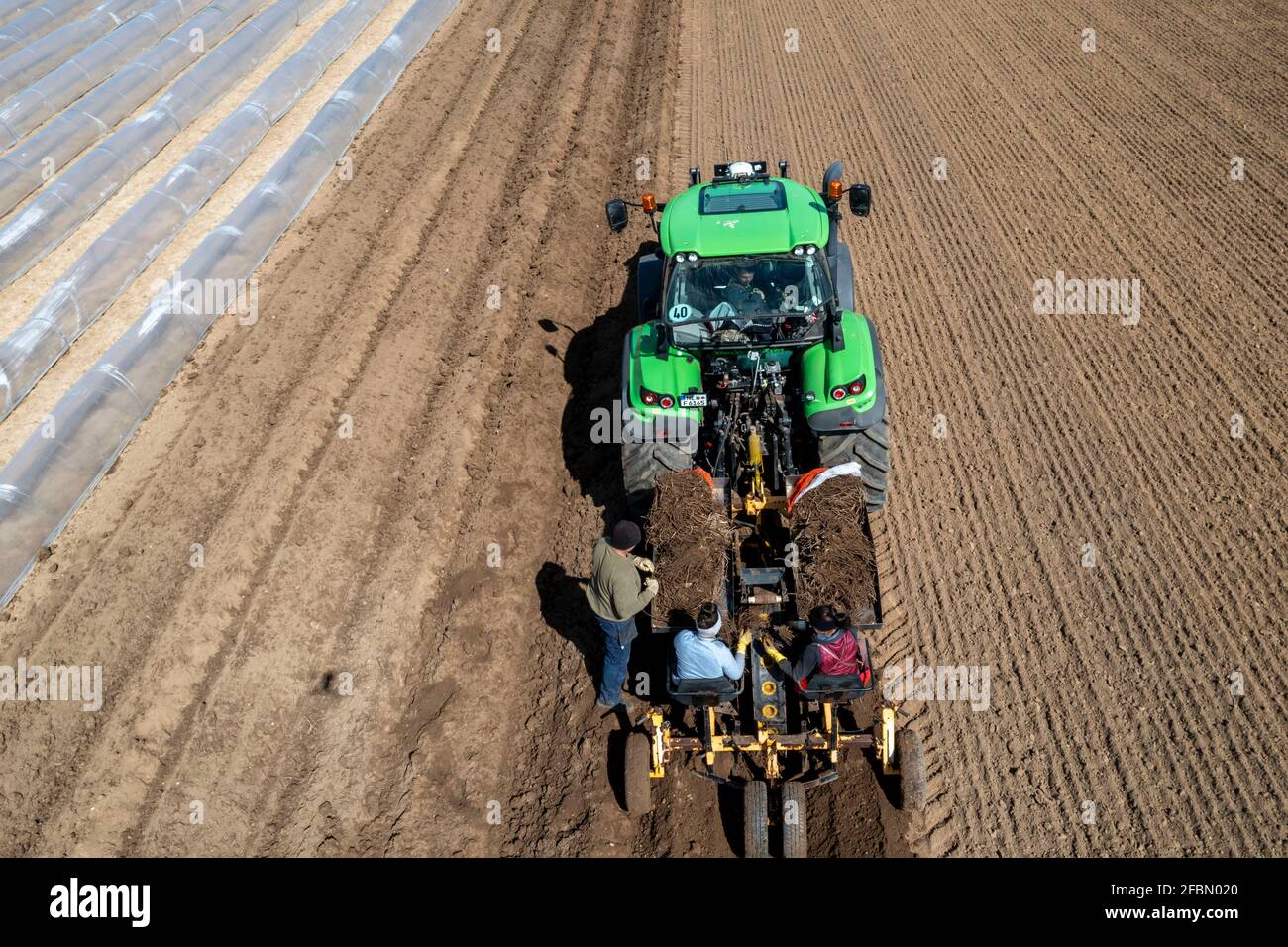 Asparagus farm hires stock photography and images Alamy