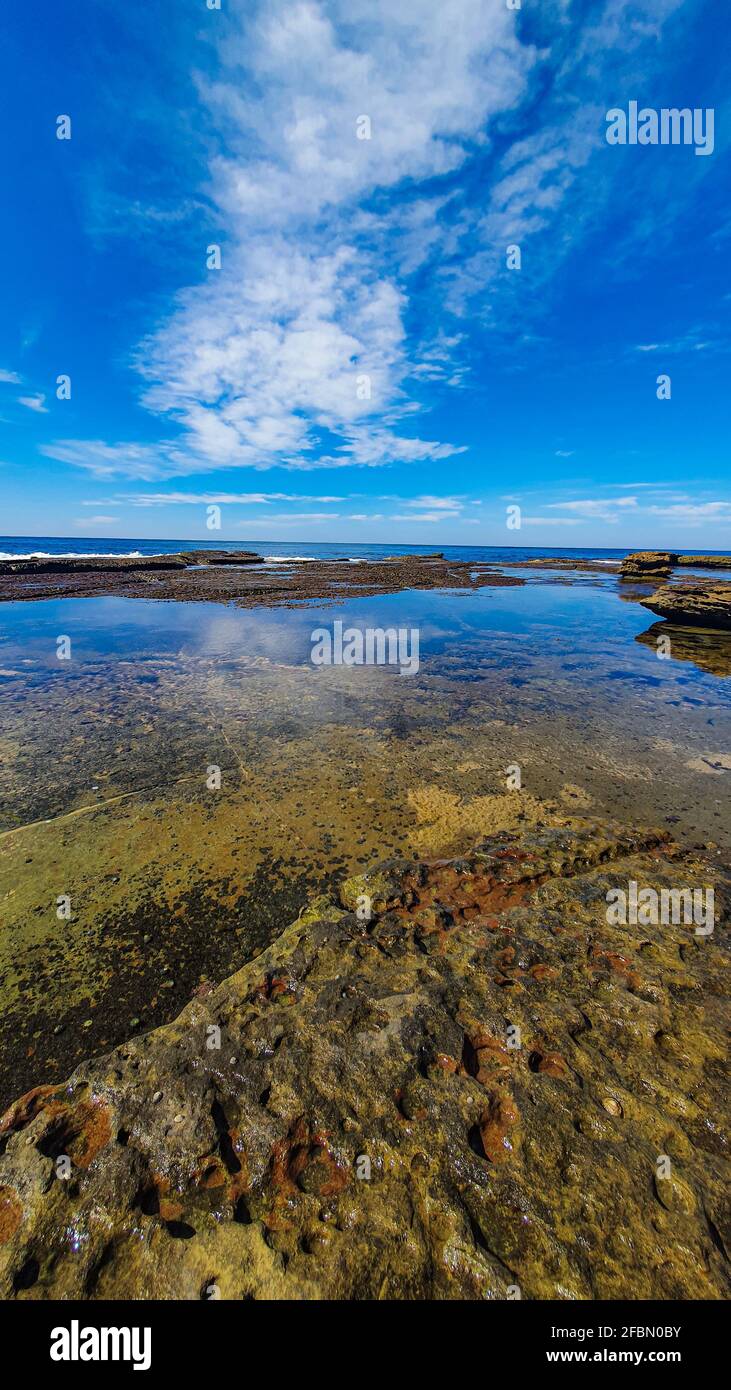Moss on rocks near hi-res stock photography and images - Alamy
