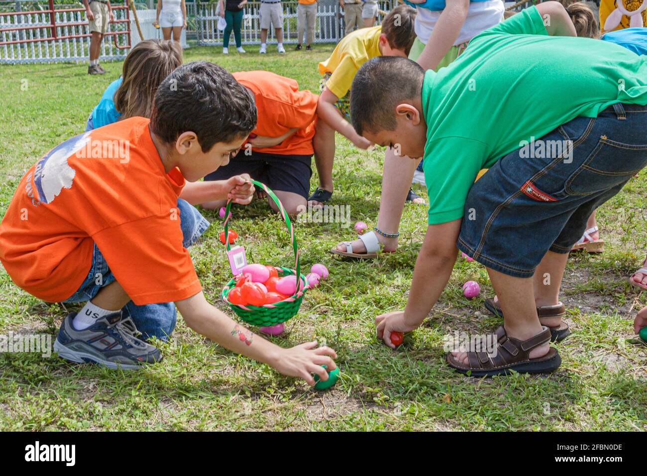 Miami Florida,Parrot Jungle Island Easter Egg Hunt,Easter Seals charity Hispanic boys basket gathering collecting plastic eggs, Stock Photo