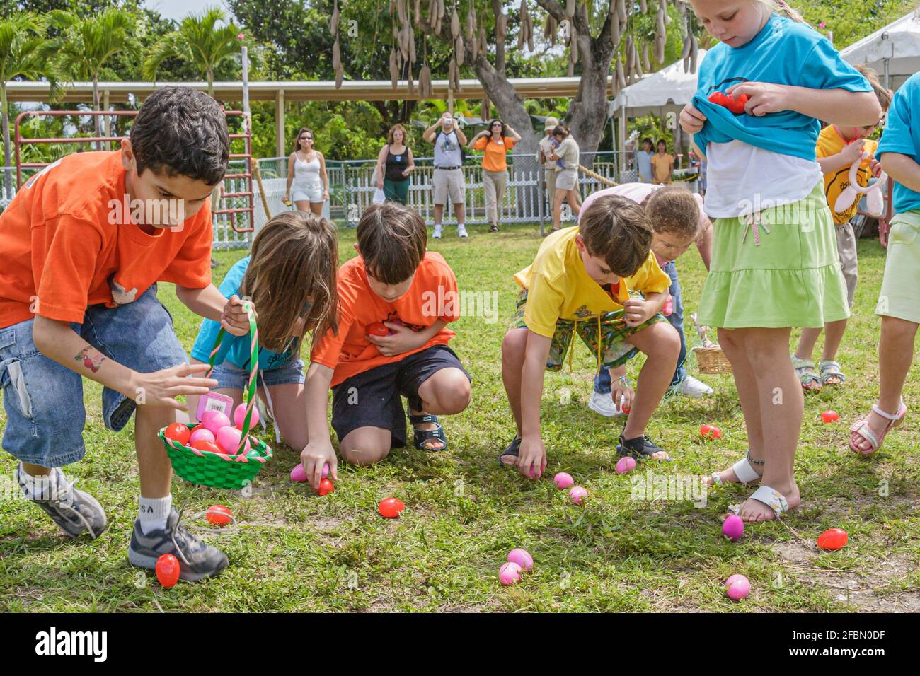 Miami Florida,Parrot Jungle Island Easter Egg Hunt,Easter Seals charity Hispanic boys girls basket gathering collecting plastic eggs, Stock Photo
