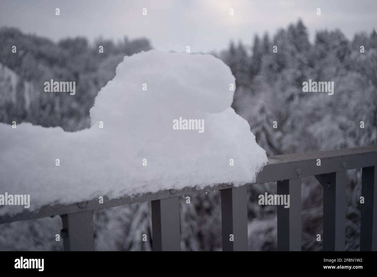 Closeup shot of a snowy fence with a view of the forest Stock Photo - Alamy