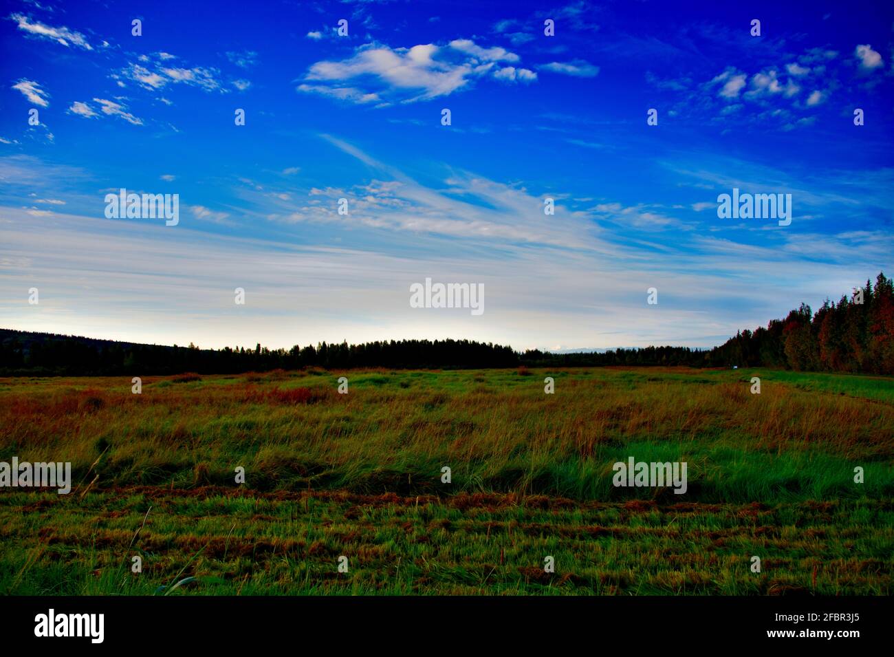 Creamers field fairbanks hires stock photography and images Alamy