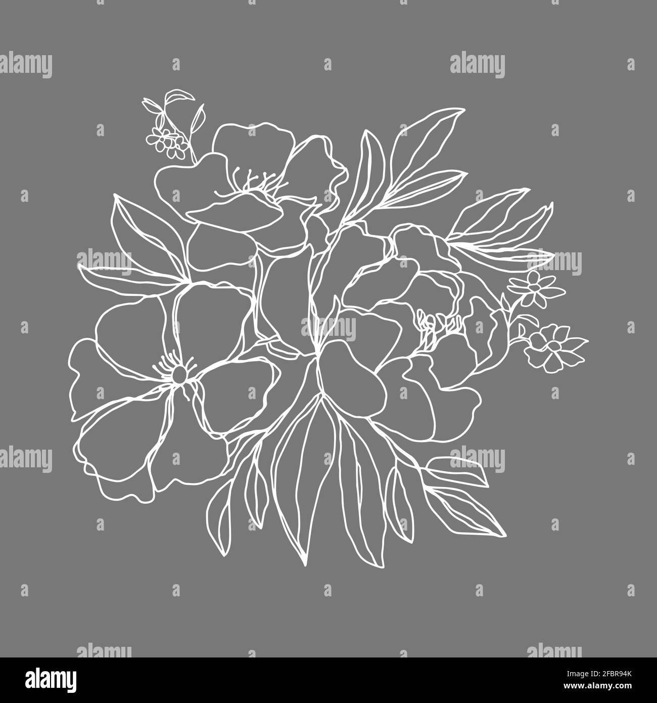 peony flower buds branch with leaves and small flowers isolated grey vector background Stock Photo
