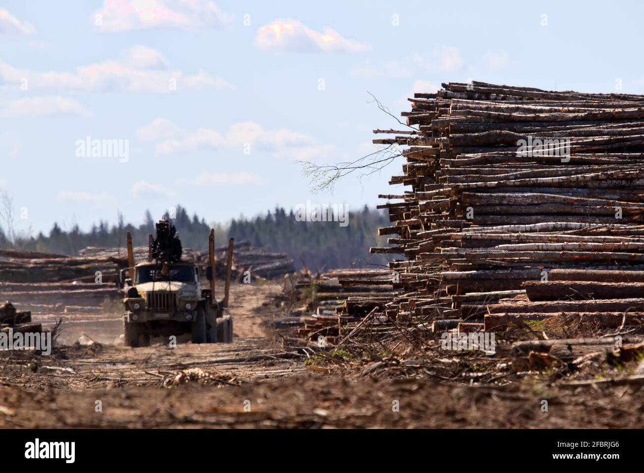 Tree length timber truck hi-res stock photography and images - Alamy