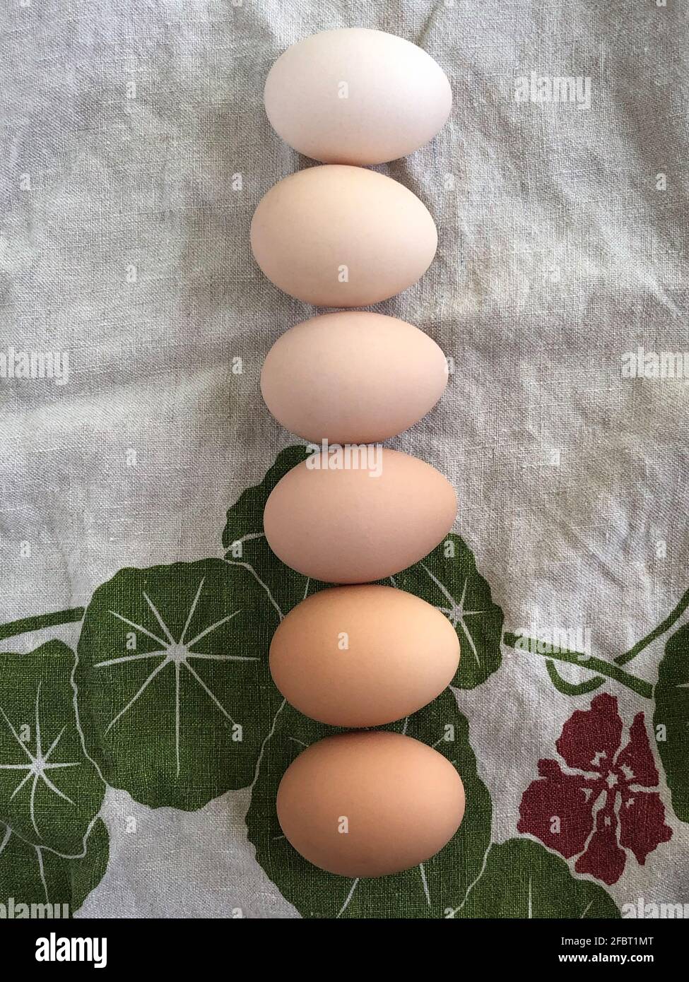 Brown eggs in a vertical line on linen tea towel Stock Photo