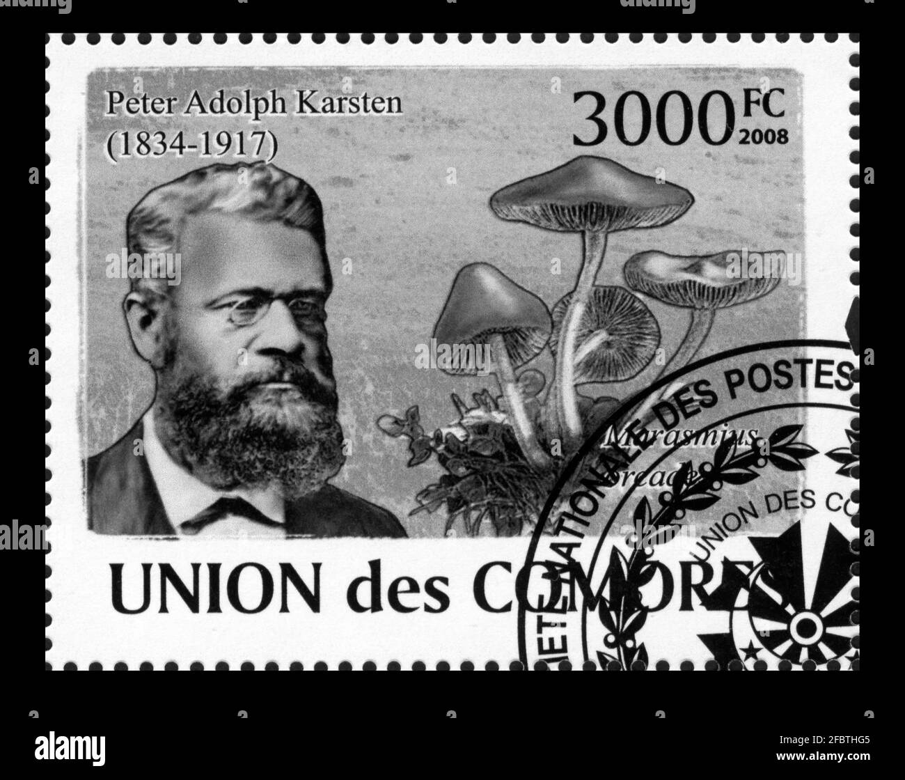 Stamp print in Comoros,Mushrooms Stock Photo