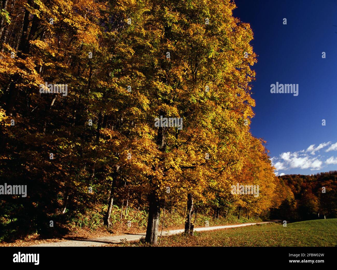 Reading, Vermont in autumn Stock Photo