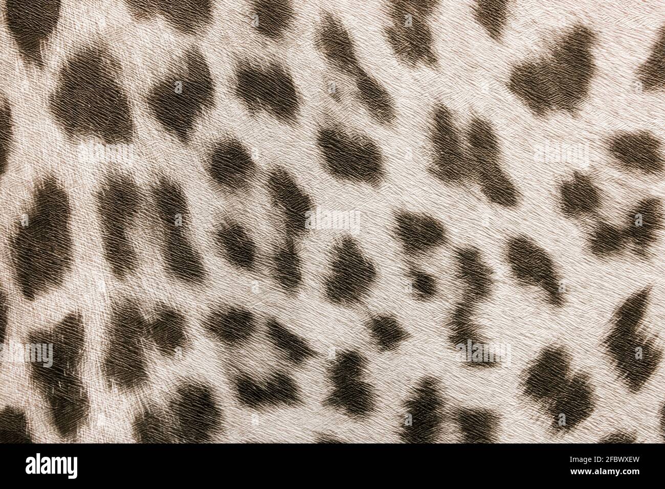 Leopard pattern hi-res stock photography and images - Alamy