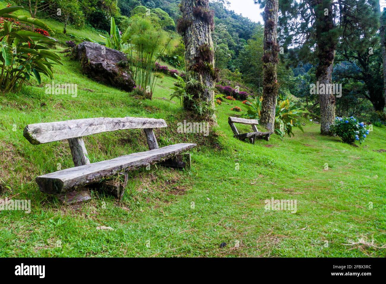 Lower part of Lost Waterfalls hiking trail near Boquete, Panama Stock ...