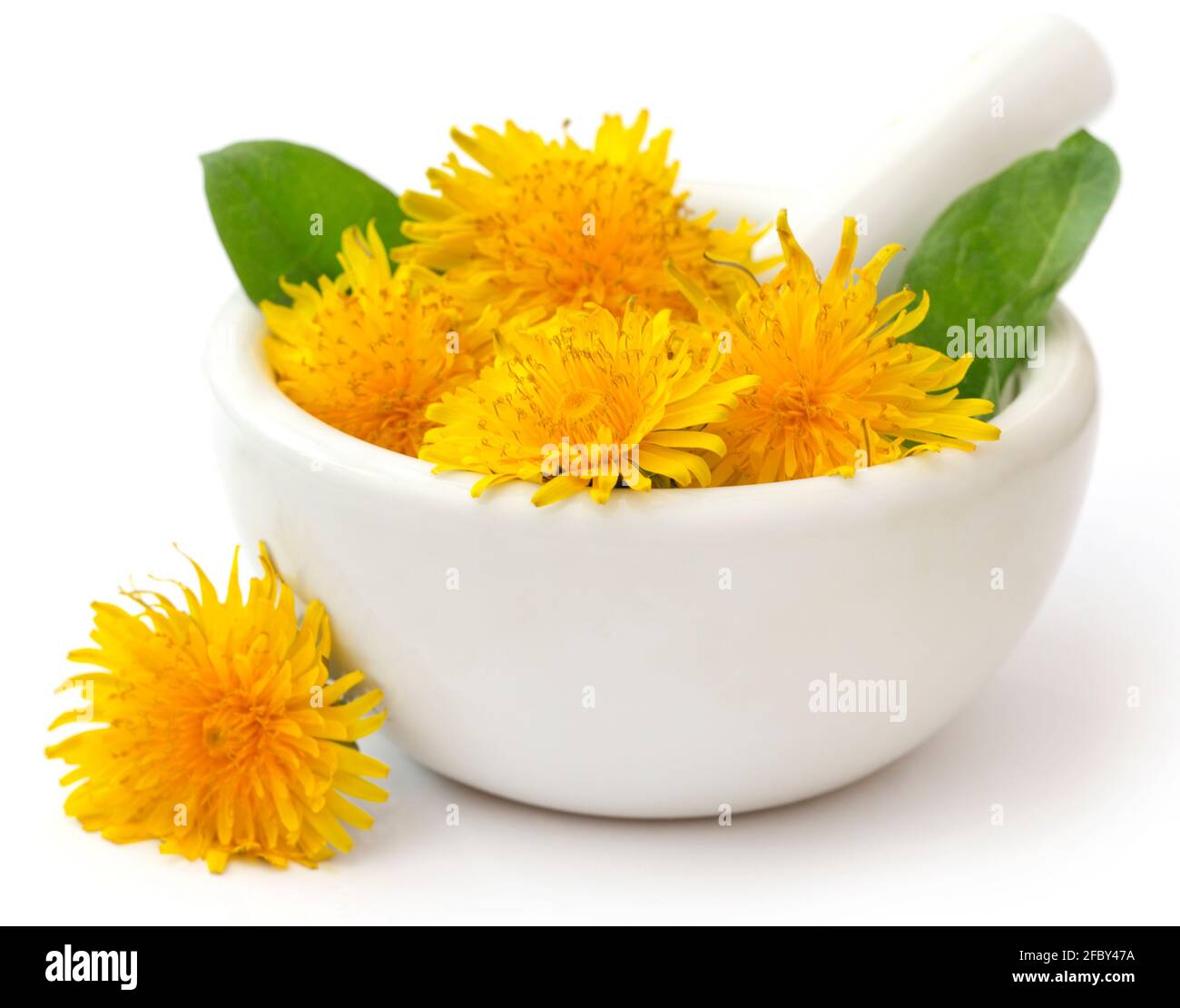 Medicinal dandelion with mortar and pestle over white background Stock Photo
