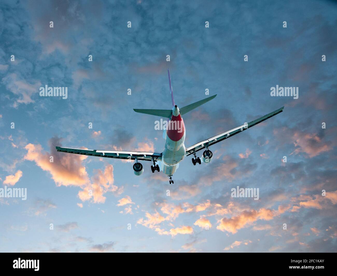Tail view hi-res stock photography and images - Alamy