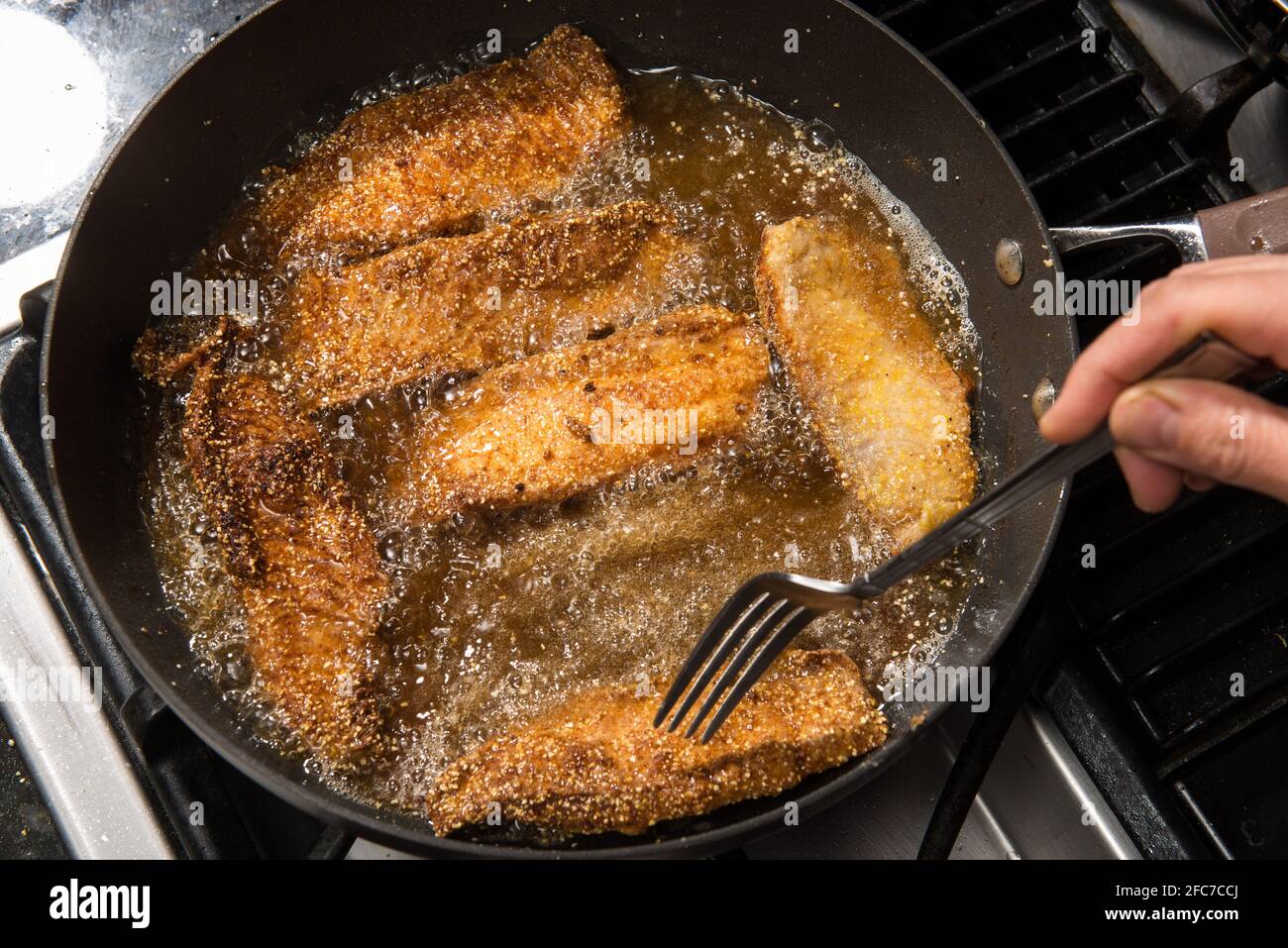 Panfrying or home cooking fish fillet on a stove top Stock Photo Alamy