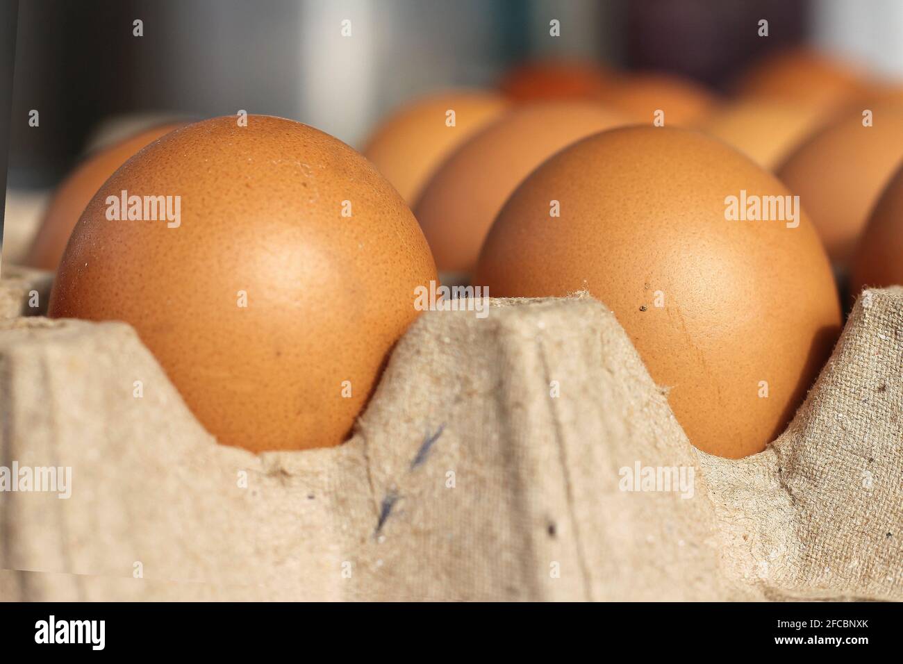 Brown eggs in paper trays For cooking Stock Photo