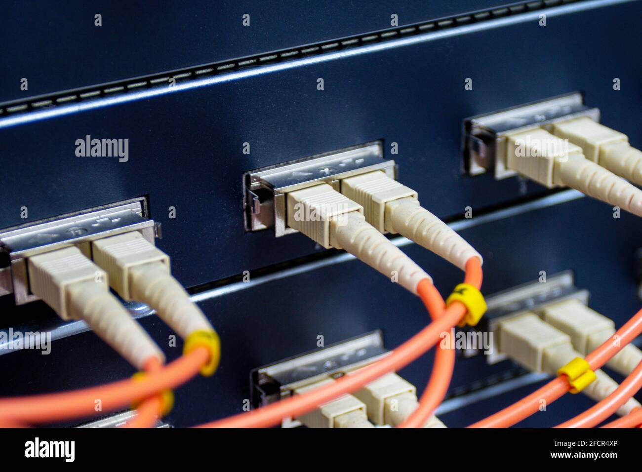 cable network, fiber optic cable connect to switch port in server room