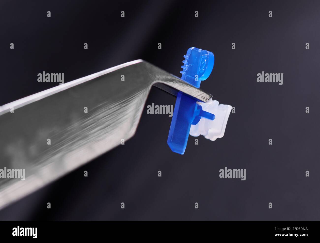 orthodontic metric scale ruler orthodontic metric scale ruler