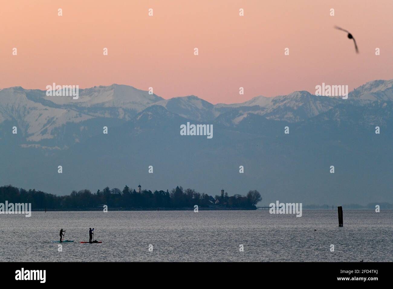 Friedrichshafen, Germany. 24th Apr, 2021. Two standup paddlers paddle