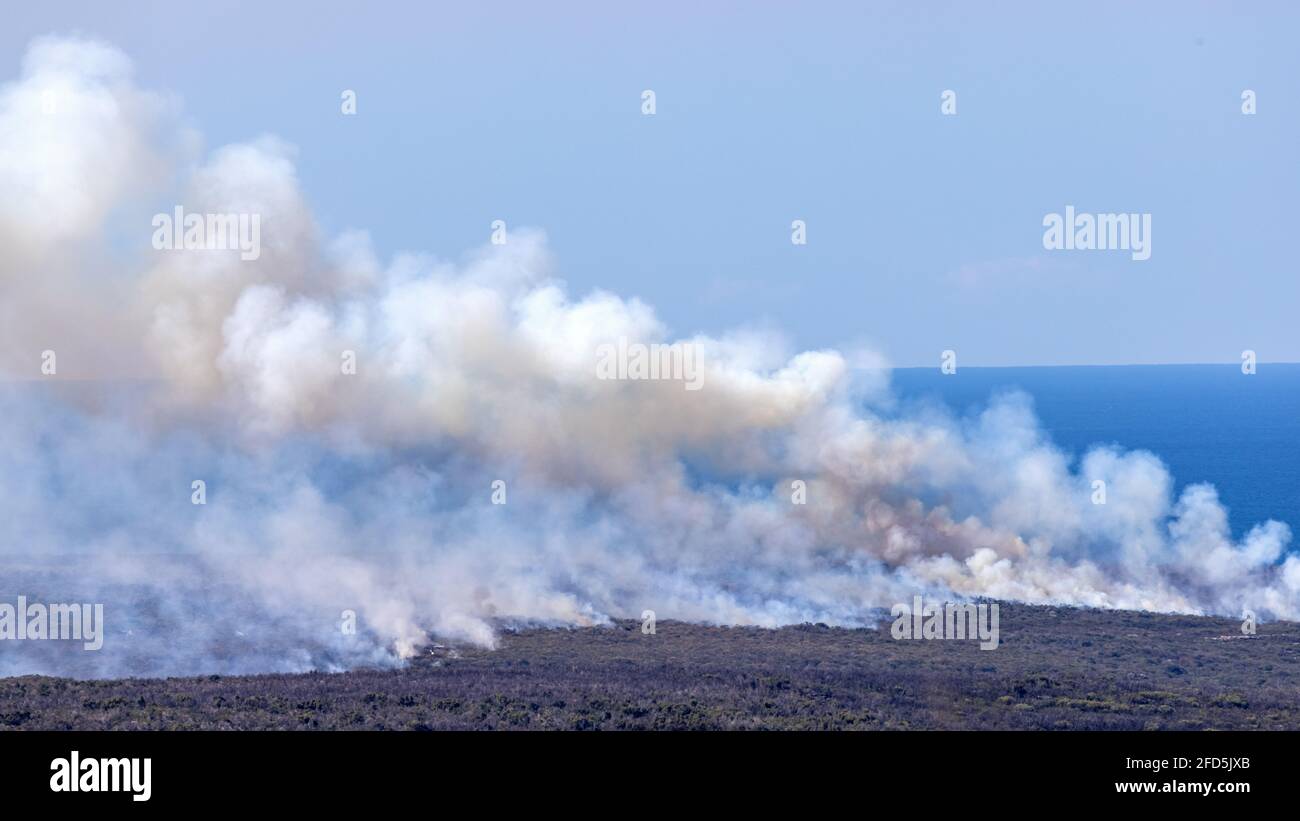 Hazard Reduction fire being controlled by New South Wales National Parks, Australia Stock Photo