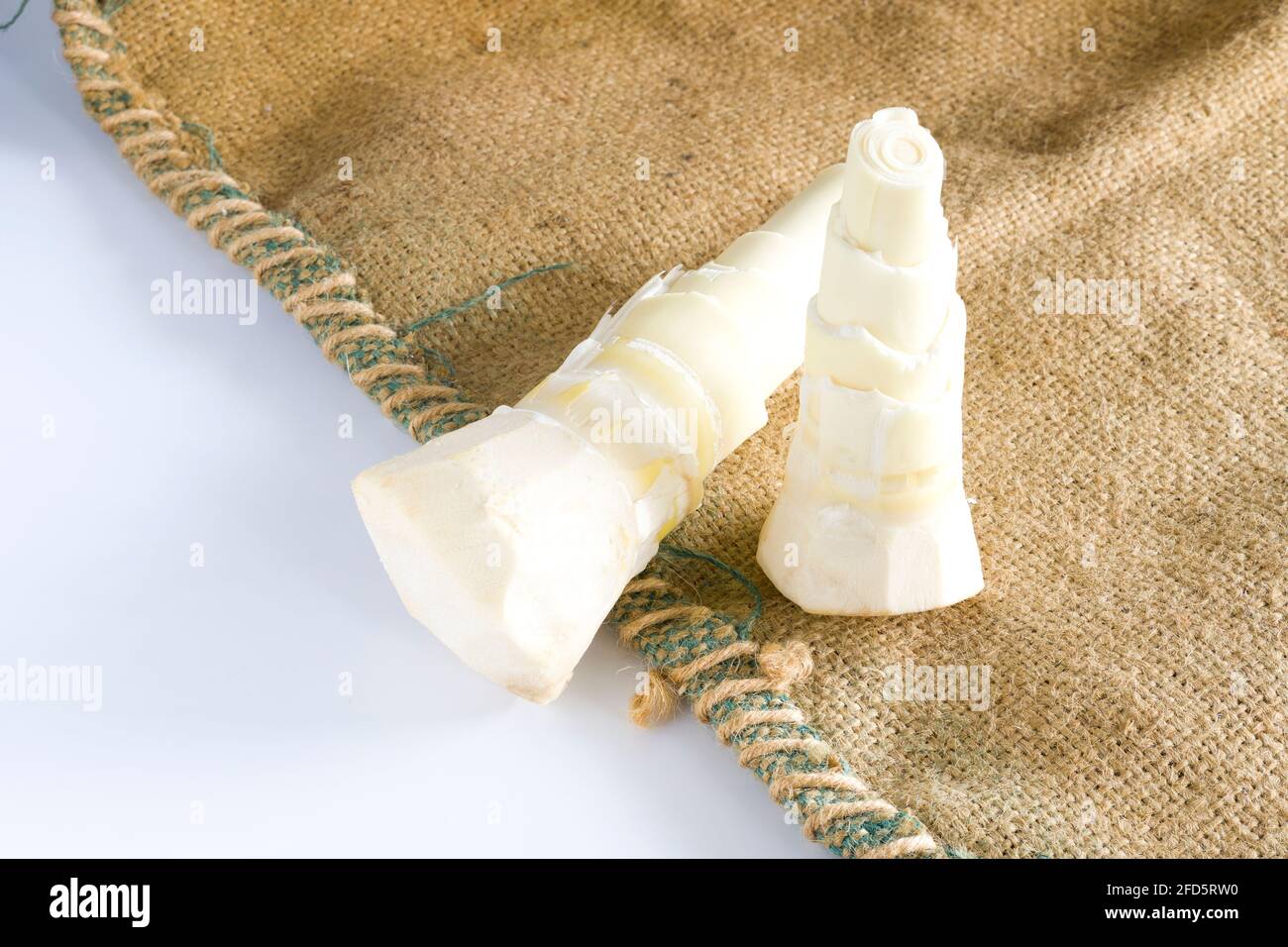Bamboo shoots or bamboo sprouts are the edible shoots (new bamboo culms that come out of the ground) Preparing Bamboo Shoot. Stock Photo
