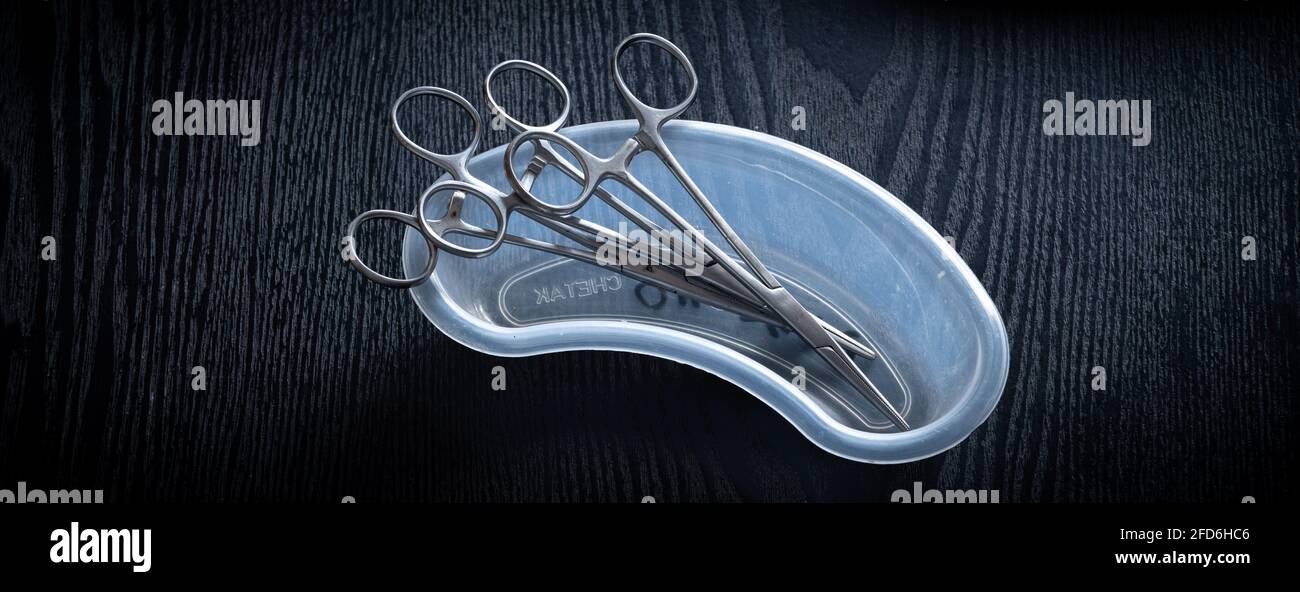 Hemostatic Forceps scissors put inside the plastic equipment holder on a wooden tabletop, overhead view photograph. Stock Photo