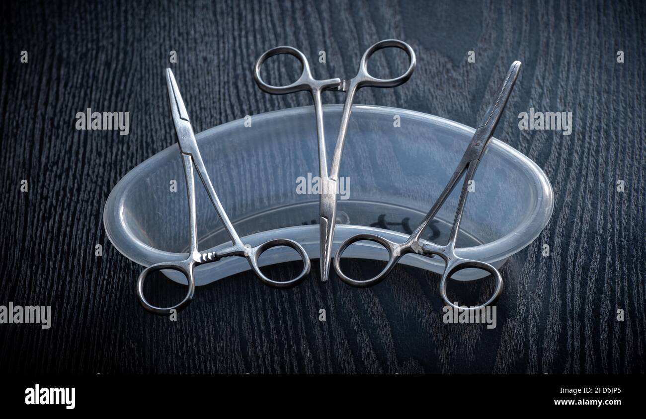 Hemostatic Forceps scissors lay flat on top of plastic equipment holder on a wooden tabletop, overhead view photograph. Stock Photo