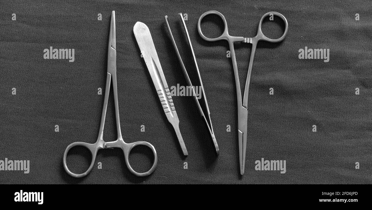 Hemostatic Forceps scissor and dressing forceps lay flat on top of a table. Stock Photo
