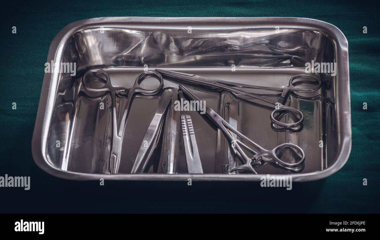 Hemostatic Forceps scissors and dressing forceps in stainless steel container tray. Stock Photo