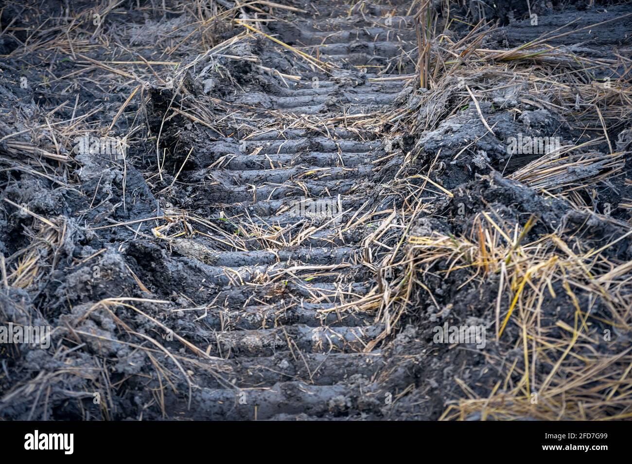 Tractor tire marks grass hires stock photography and images Alamy