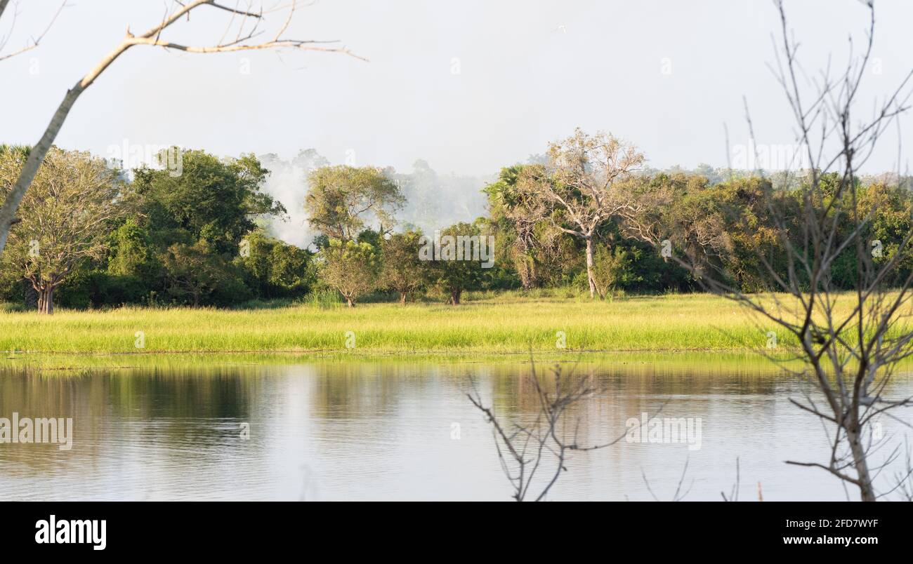 Peaceful landscape scenery in Pusiyankulama Wewa. the beauty of nature in Sri Lanka. Stock Photo