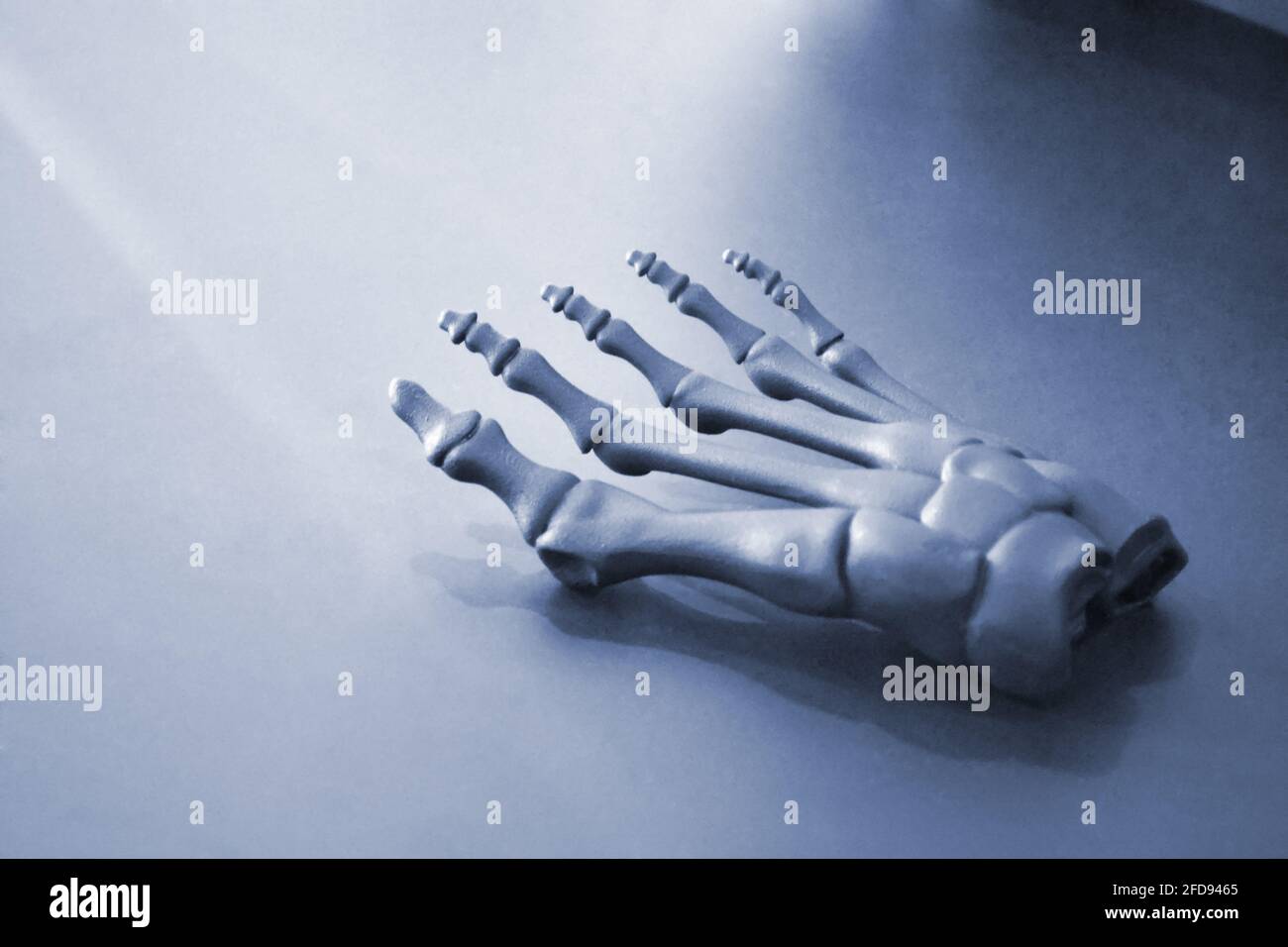 Gray prototype of the human foot skeleton printed on 3d printer on dark surface. Stock Photo