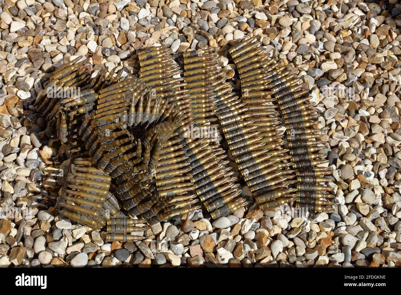 two belts of brass cased British army issue SLR blanks awaiting disposal and delivered in the incorrect boxes. Stock Photo